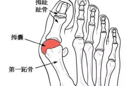银川皓贝齿科诊所价格表