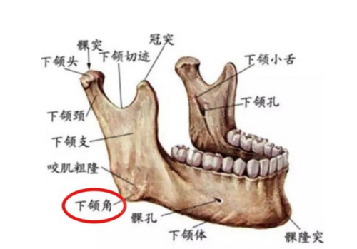 医生个性化方案:让假体放置更贴合个人需求