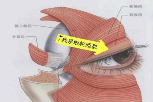 莱芜润美医疗美容诊所口碑评价