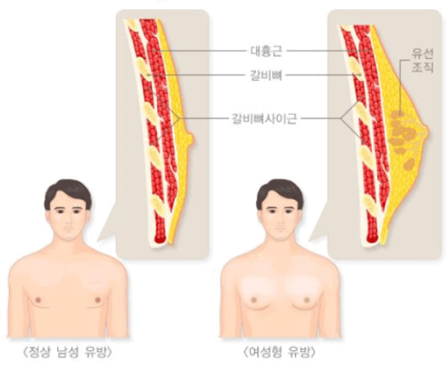 二、操作不当或护理不佳时的短期术后危害