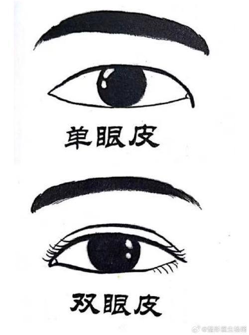 新疆维吾尔自治区人民医院整形科怎么样？