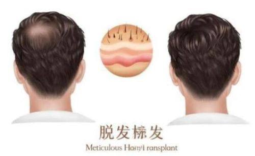 淄博媄妍整形医院医生名单及擅长领域：