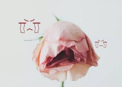 五、割双眼皮72小时后肿胀厉害怎么处理?多维度护理助修复