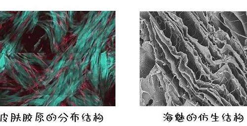 三、熊猫针治疗：脸上色素型与浅表疤痕的修复节奏