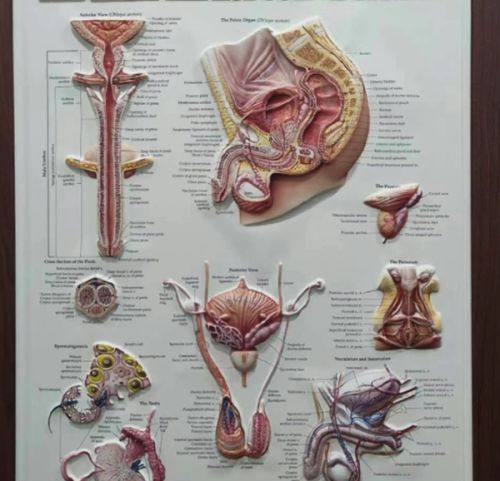四、异常肿胀别慌,正确应对是关键