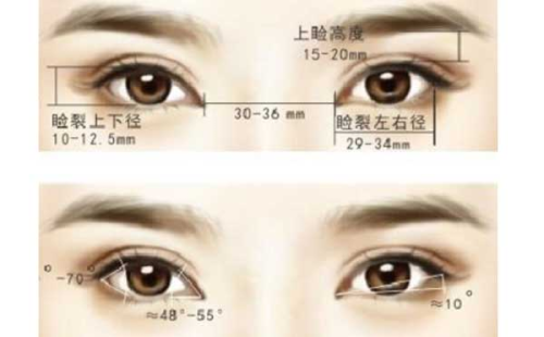 三、成效对比:自然感vs持久度,你更看重哪一点