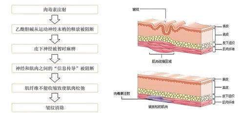 西安唯娜美颜医疗美容口碑评价：