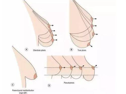 五、海口、西宁、漯河：高性价比与特色技术的本地优选