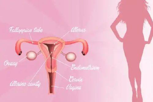 二、黄瓜片对不同类型黑眼圈/眼袋的实际成效差异