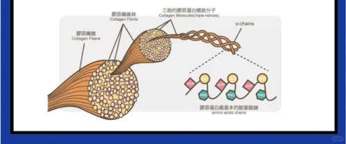 四、双眼皮一个半月化妆：更稳妥的修复节奏