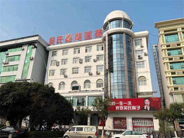 红河吴氏嘉美医疗美容门诊部价格表: