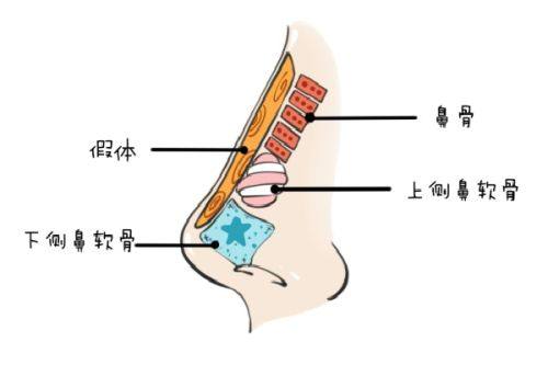 四、右额头有疤痕的男孩命运解析