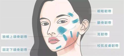 二、功能异常或伴随其他问题：单纯割双眼皮无效