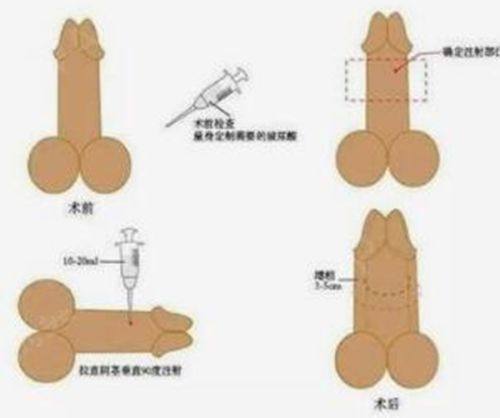 个人体质与老化速度:影响维持时长的内在核心