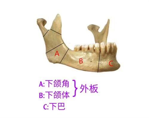 深圳妈咪知道齿科(文创店)擅长项目：