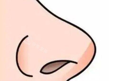 金容燮医生擅长领域