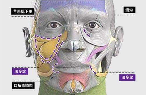 千叶中央美容形成口碑评价：