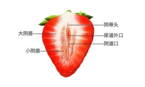 刘佺医生技术优势
