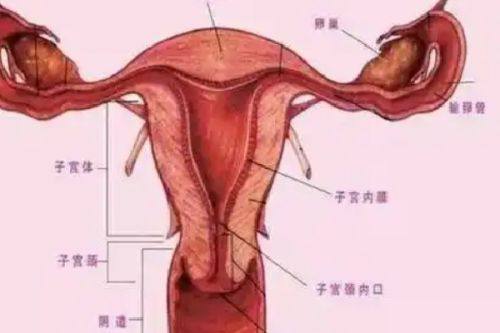 二、眼部去皱针打完眼袋变大的3大核心诱因拆解