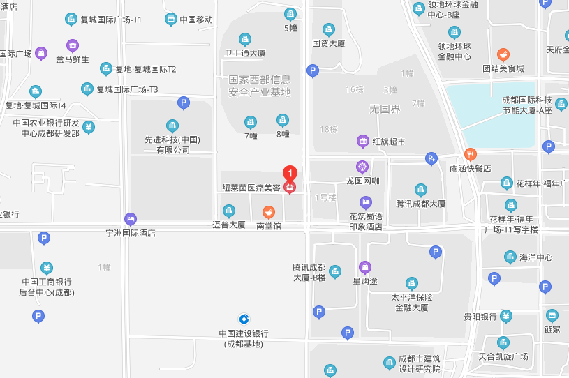 成都纽莱茵医疗美容整形门诊部擅长项目：