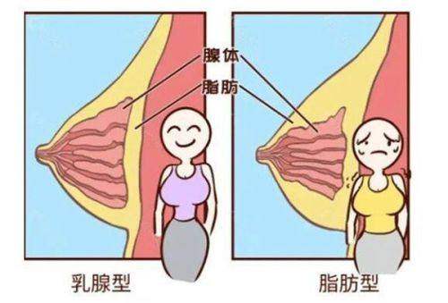 成都致臻爱医疗美容门诊部擅长项目：