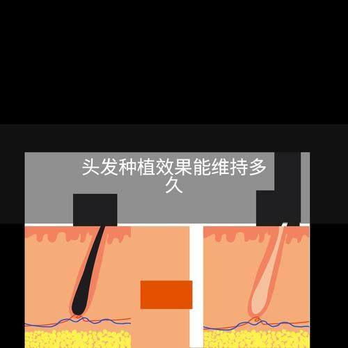 上海丽质整形医院怎么样？