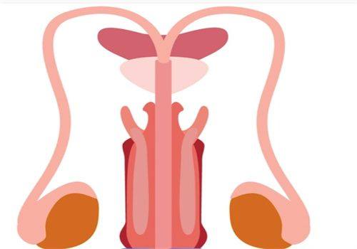 四、正规就医选择与费用参考