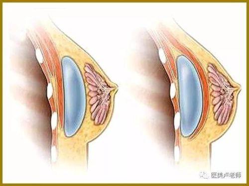 重庆丽格整形美容医院地址电话及营业时间：