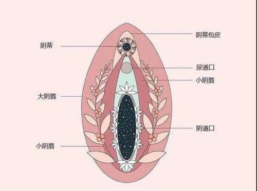 佛山雍禾植发整形外科门诊部地址电话及营业时间：