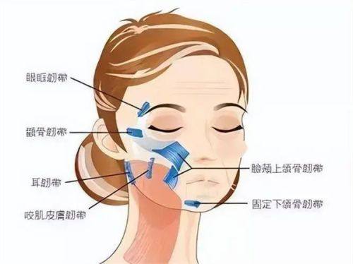 四、国内专精修复机构与收费参考