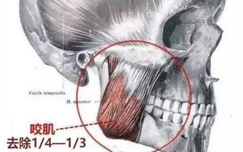 重庆厚爱牙科医疗诊所价格表：