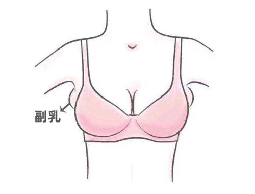 北京圣爱整形美容医院地址电话及营业时间：