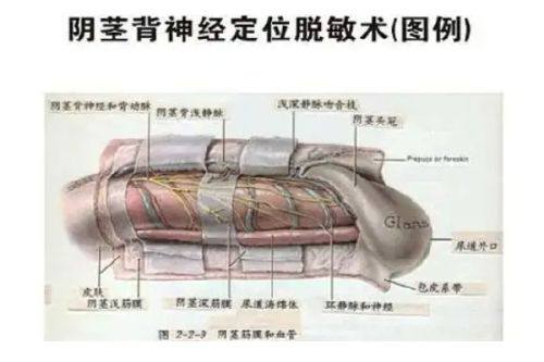 深圳格伦菲尔牙科口腔医院口碑评价：