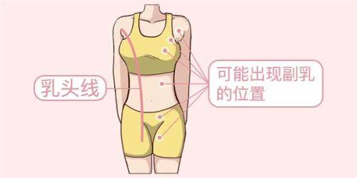 深圳格伦菲尔牙科口腔医院地址电话及营业时间：